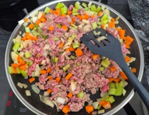 mince & vegetables in a pan