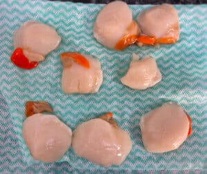 Scallops