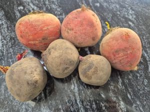 Beetroot before being peeled